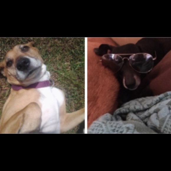 Meet your Posher, Stephanie - Picture 1 of 1